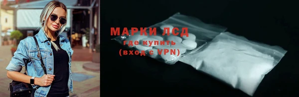PSILOCYBIN Алзамай