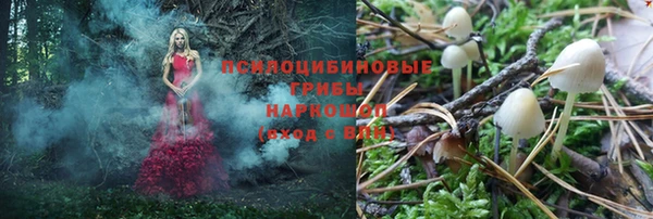 PSILOCYBIN Алзамай
