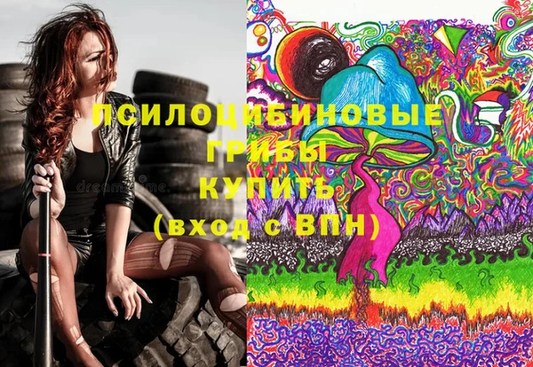 PSILOCYBIN Алзамай